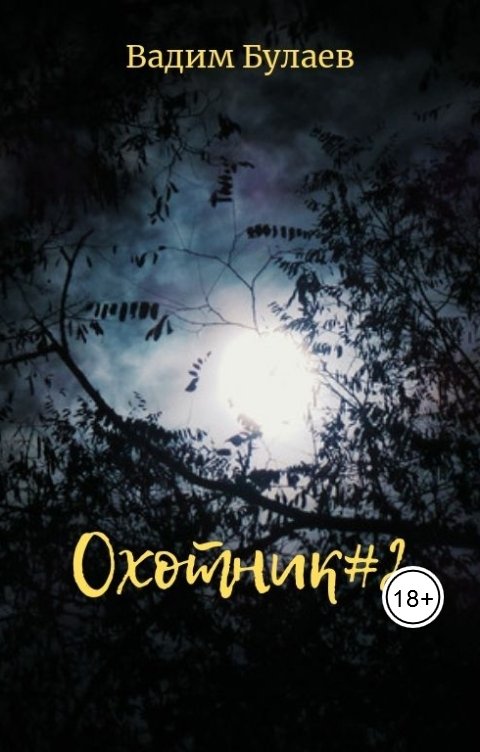 Обложка книги Вадим Булаев Охотник #2