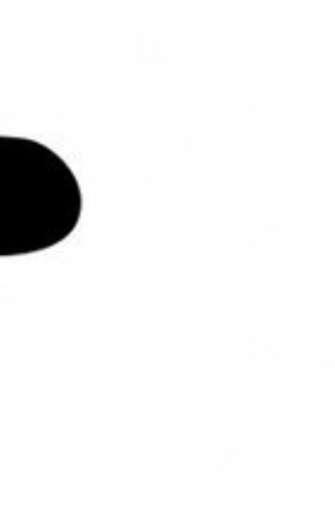 Обложка книги Алексей Суслов Дневники Марии