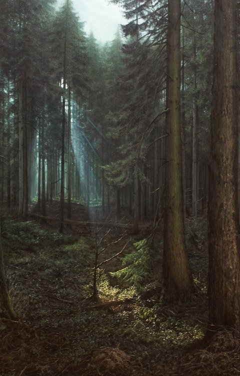 Обложка книги Zlodeikavo4kax "Вы, Цветочные, похоже все на голову больные..."