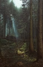 обложка книги Zlodeikavo4kax ""Вы, Цветочные, похоже все на голову больные...""