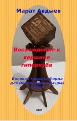 обложка книги emediator "Восхождение к вершине гиперкуба"