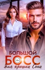 обложка книги Екатерина Антонова "Большой босс для крошки Сони"