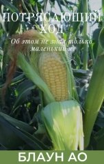 обложка книги Блаун Ао "Потрясающий ход"