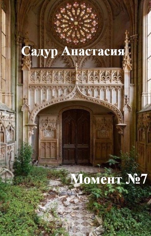 Обложка книги Садур Анастасия "Момент №7"