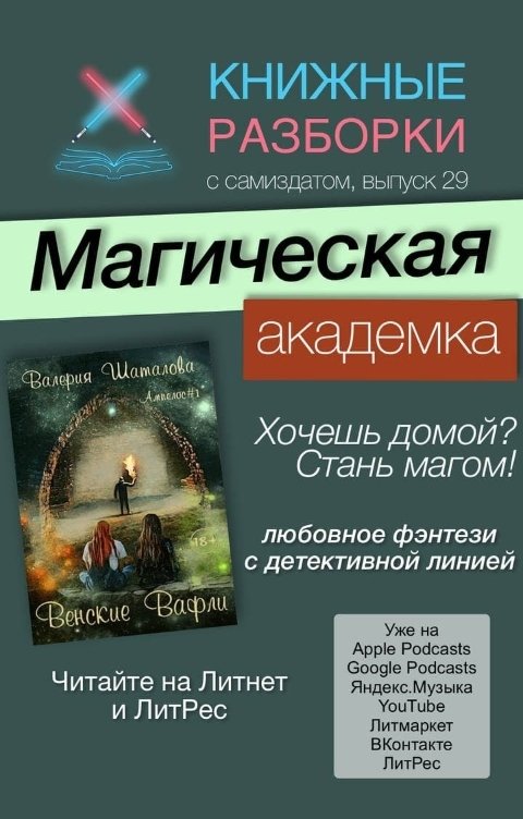Обложка книги Книжные Разборки Магическая академка  Валерии Шаталовой "Венские вафли"