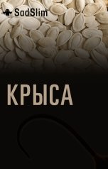 обложка книги SadSlim "Крыса"