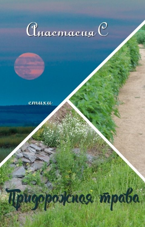 Обложка книги Анастасия С Придорожная трава. Стихи