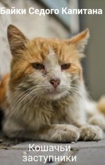 обложка книги Байки Седого Капитана "Кошачьи заступники"