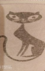 обложка книги Андрей Ланиус "Исповедь черного кота"