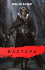 обложка книги Shavkynov "Бастард"