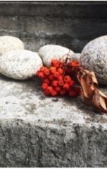 обложка книги Наталья Гончарова "Видят ли березы сны"