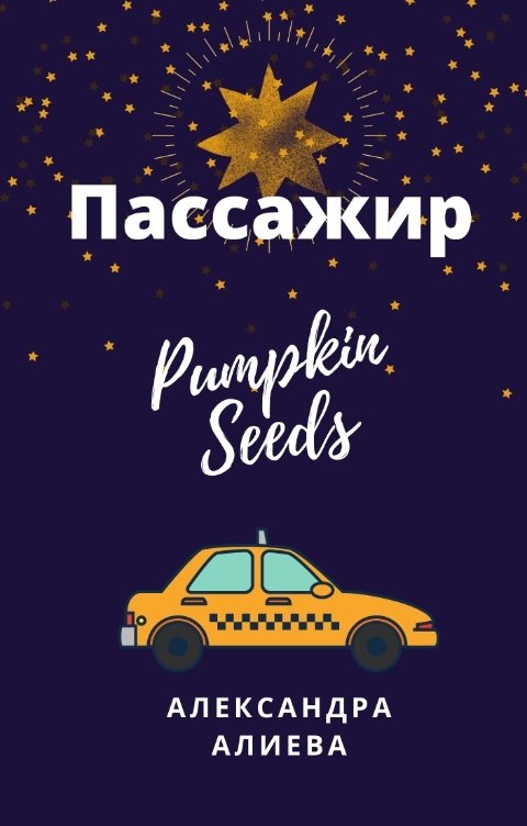 Обложка книги Александра Алиева Пассажир