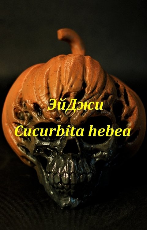 Обложка книги ЭйДжи Cucurbita hebea