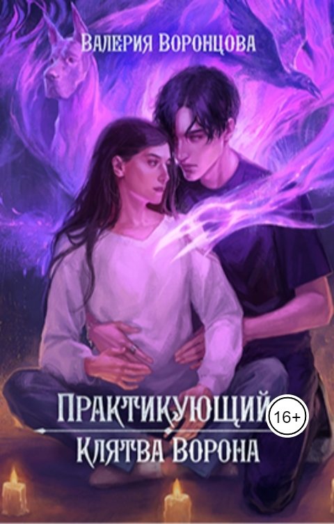 Обложка книги Валерия Воронцова Практикующий. Клятва ворона