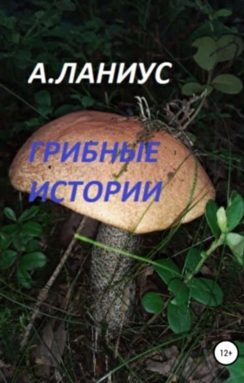 Обложка книги Андрей Ланиус Грибные истории