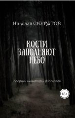 обложка книги Николай Скуратов "Кости заполняют небо"
