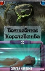 обложка книги Сергей Карелин "Волшебные королевства 2"