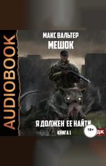 обложка книги Макс Вальтер "Мешок. Книга 1. Я должен её найти"