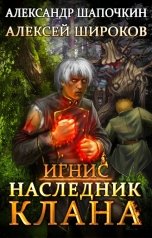 обложка книги Алексей Широков, Александр Rayfon Шапочкин "Наследник клана"