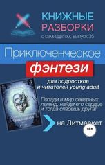 обложка книги Книжные Разборки от БЧП "Приключенческое фэнтези «Принц Зазеркалья» Александры Пушкиной."