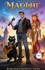 обложка книги Дмитрий Кружевский "Магфиг"