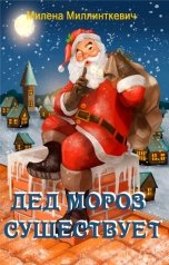 обложка книги Милена Миллинткевич "Дед Мороз существует"