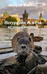 обложка книги Андрей Яценко "Несуразность из-за недопонимания"