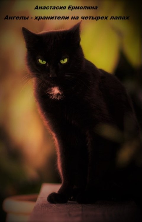 Обложка книги Анастасия Ермолина Ангелы - хранители на четырех лапах