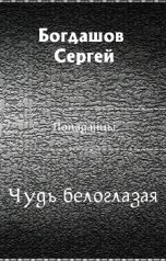 обложка книги Сергей Богдашов "Чудь белоглазая"