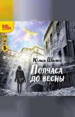 обложка книги Юлия Шолох "Полчаса до весны"