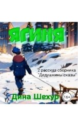 обложка книги Дина Шехур "Ягиня"