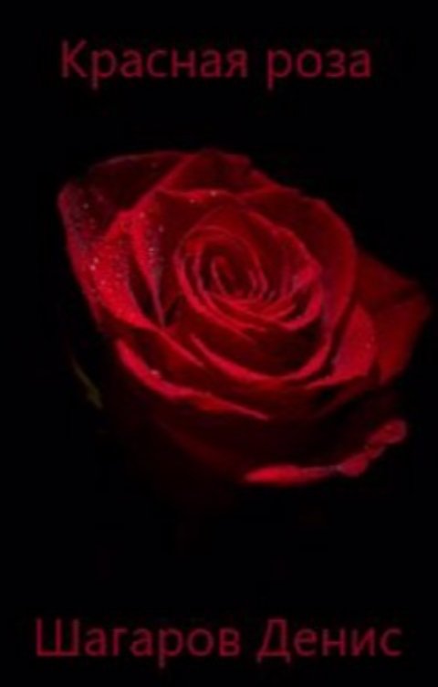 Обложка книги Денис Шагаров Красная роза