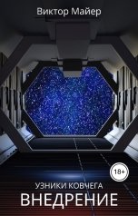 обложка книги Виктор Майер "Внедрение"