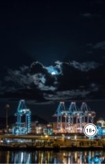 обложка книги DiegoFreeman "Нью-Бедфорд"