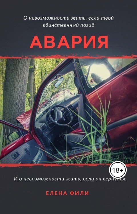 Обложка книги Елена Фили Авария