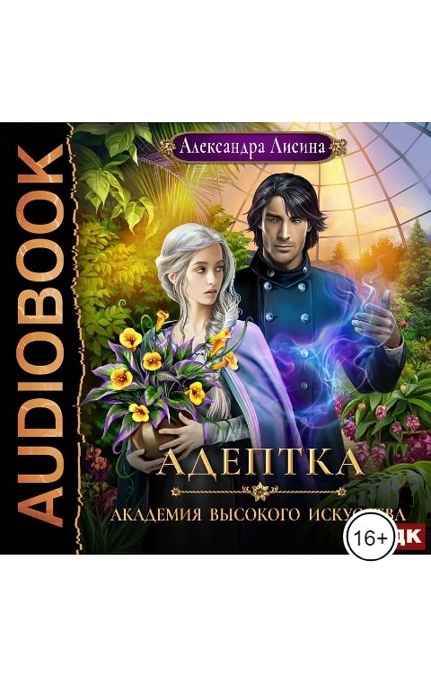 Обложка книги ИДДК Академия высокого искусства. Книга 1. Адептка