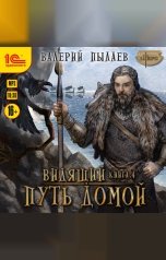 обложка книги Валерий Пылаев "Видящий. Путь домой"