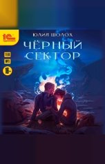 обложка книги Юлия Шолох "Чёрный сектор"