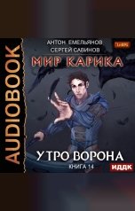 обложка книги Антон Емельянов и Сергей Савинов "Мир Карика. Книга 14. Утро ворона"