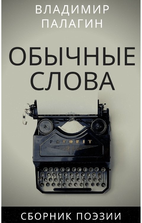 Обложка книги Владимир Палагин Обычные слова