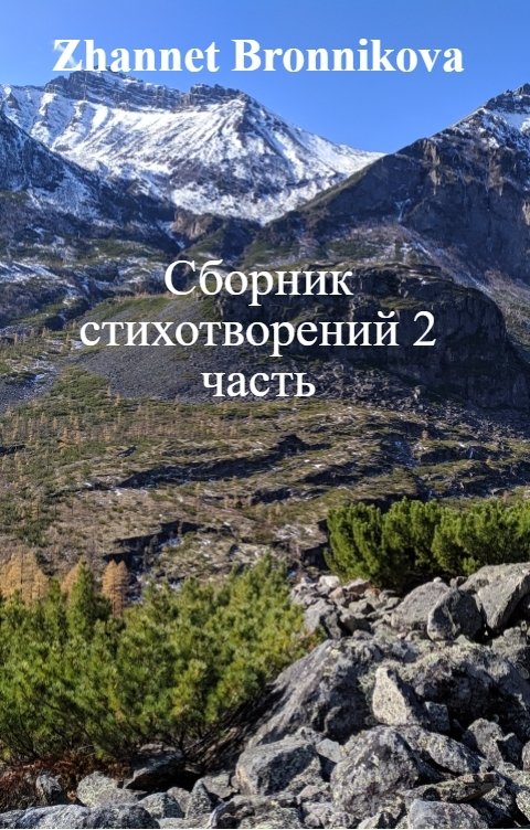 Обложка книги Zhannet Bronnikova Сборник стихотворений 2 часть