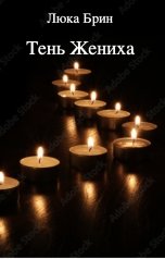 обложка книги Люка Брин "Тень Жениха"