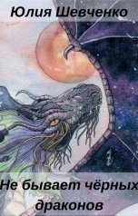 обложка книги Юлия Шевченко "Не бывает чёрных драконов"