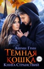 обложка книги Айрин Грин "Тёмная Кошка. Книга Странствий"