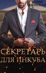 обложка книги Секретарь для инкуба