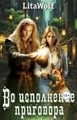 обложка книги LitaWolf "Во исполнение приговора"