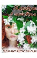 обложка книги Елизавета Соболянская "Каникулы в замке Фрим"