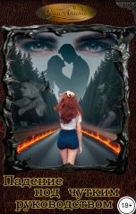 обложка книги Одем-Аниэль "Падение под чутким руководством"
