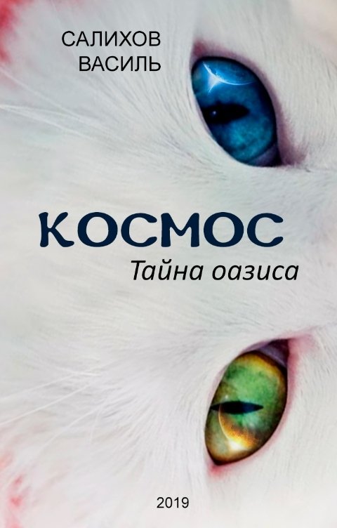 Обложка книги Салихов Василь Космос. Тайна оазиса