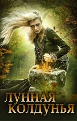 обложка книги Мика Ртуть "Лунная колдунья"